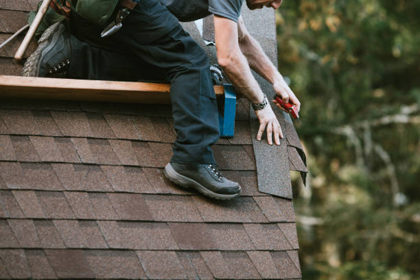 Best Roof Gutter Cleaning  in Moroni, UT
